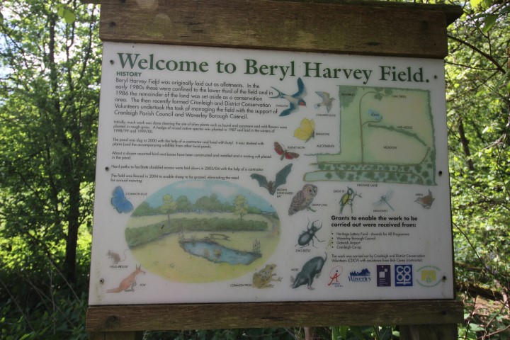 Beryl Harvey Field Notice