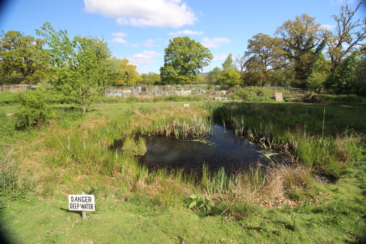 Beryl Harvey Field