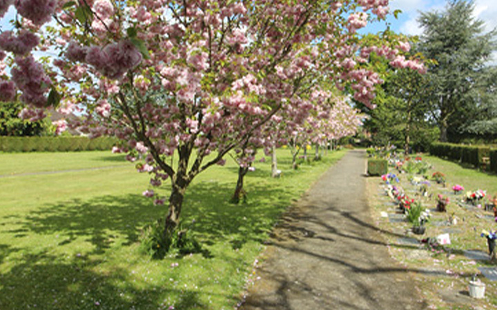 Cemetery