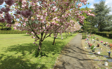 The Cemetery